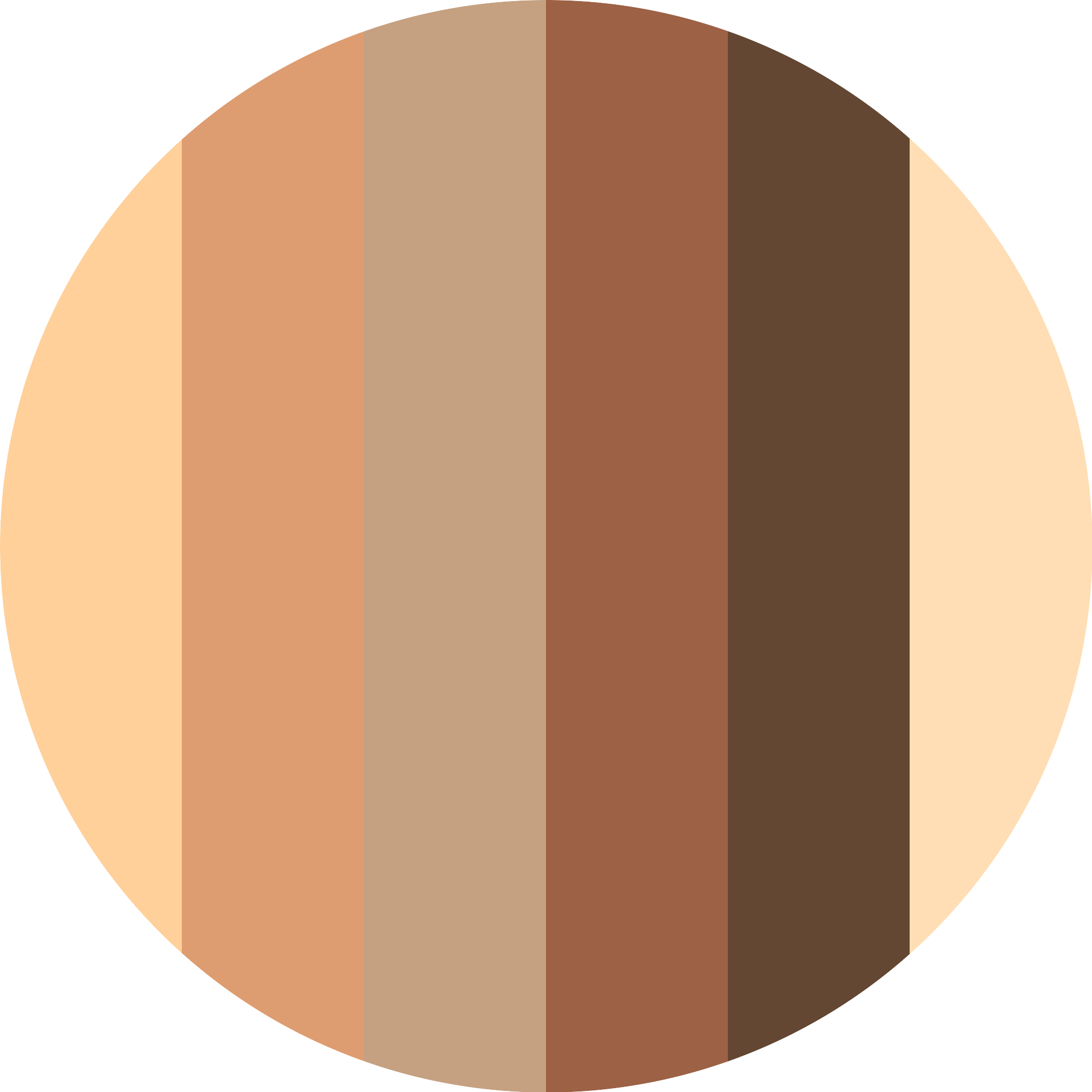 The Dark Cocoa Eyeshadow Palette 9g The Dark Cocoa Eyeshadow Palette 9g