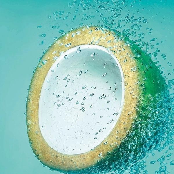 Fructis Champú Purificante Pure Fresh Agua de Coco Fructis Champú Purificante Pure Fresh Agua de Coco
