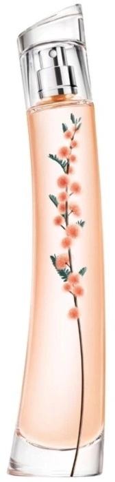 Flower Ikebana Mimosa