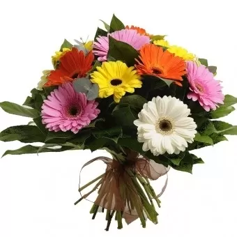 Bouquet Gerberas 10 gerberas Bouquet Gerberas 10 gerberas