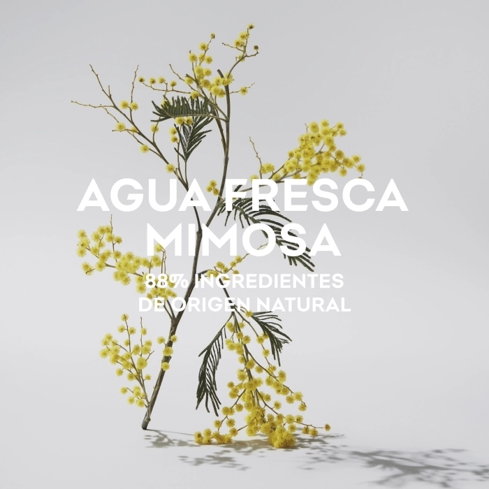 Agua Fresca Mimosa Agua Fresca Mimosa