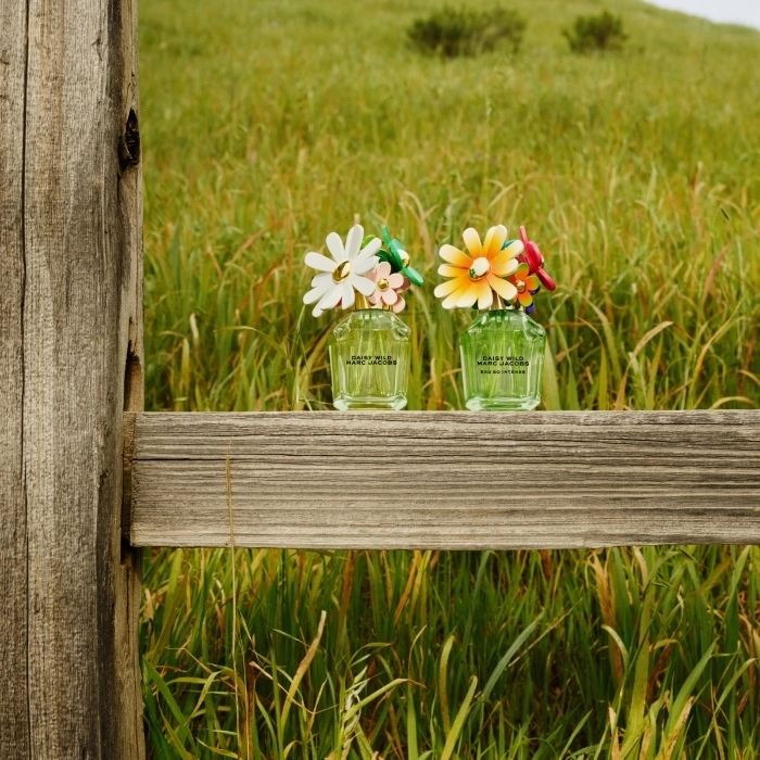 Daisy Wild Eau So Intense