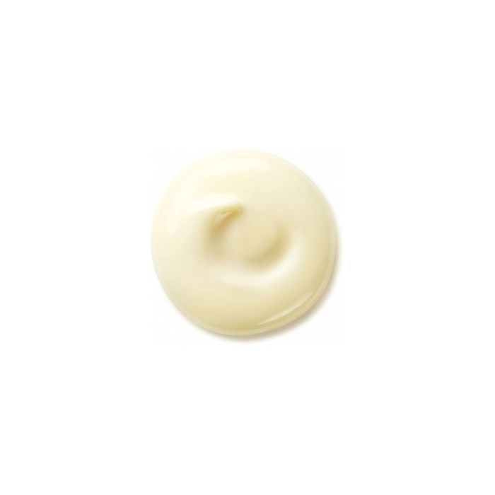 Benefiance Wrinkle Smoothing Day Cream SPF25 Benefiance Wrinkle Smoothing Day Cream SPF25