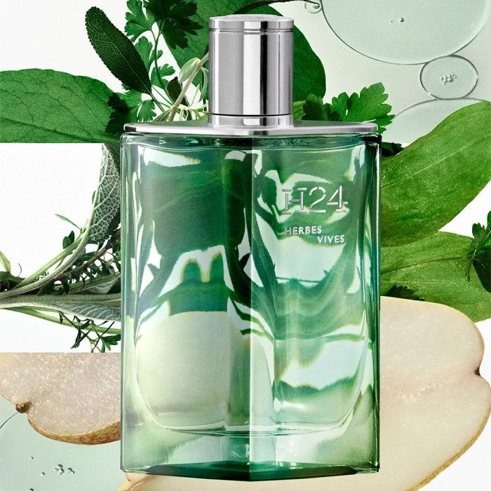 H24 Herbes Vives H24 Herbes Vives