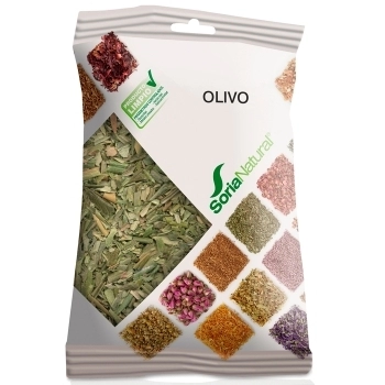 Olivo