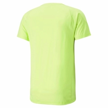 Camiseta Puma Evostripe Verde
