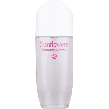 Sunflowers Summer Bloom