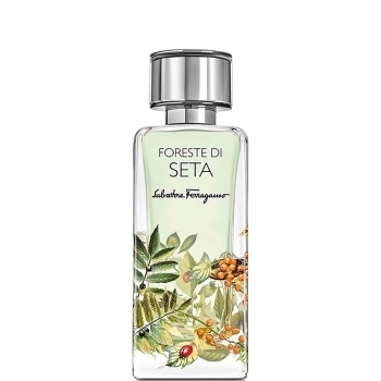 Foreste Di Seta