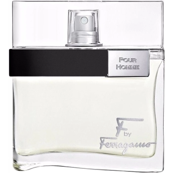 F by Ferragamo Pour Homme