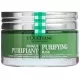 Masque Purifiant 75ml