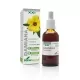 Damiana Extracto 50ml Damiana Extracto 50ml